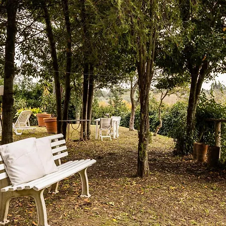 Podere Torre Degli Ulivi